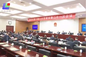 龙岩市六届人大常委会第二十一次会议召开视频封面