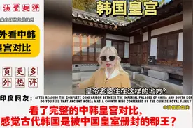 外网看中韩皇宫对比，韩国网友：韩国是古代中国皇室的亲王视频封面