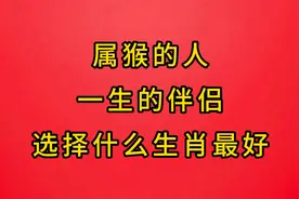 属猴的人一生的伴侣，选择什么生肖最好视频封面