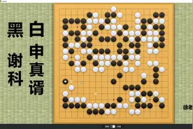 续集！谢科下出搏命一击，居然是后手死，申真谞获得应氏杯冠军！视频封面