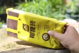 家庭养花如何自己用椰糠砖来配置营养土？视频封面