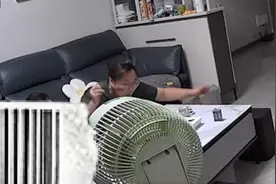 爆发力惊人！女生被蟑螂扑脸吓得一脚踢飞桌子视频封面