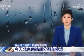 受台风“格美”和强降雨影响 今天北京南站部分列车停运视频封面