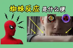 蜘蛛反应是什么梗，高手在计算替身时间，大神已经蜘蛛反应了视频封面