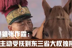 张作霖主动受抚到独揽东三省大权视频封面