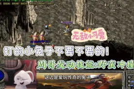 周哥发动技能：野蛮冲撞！ 打的小兔子不要不要的！视频封面
