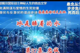 冰是睡着的水 第37集_忠诚视频封面