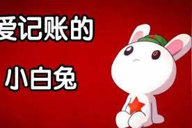 光荣往事系列之爱记账的小白兔视频封面