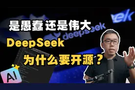 是愚蠢还是真伟大？DeepSeek为什么要开源？核心技术会被复制吗？视频封面