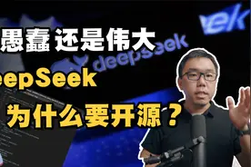 是愚蠢还是真伟大？DeepSeek为什么要开源？核心技术会被复制吗？视频封面