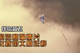 电影：13岁女孩孵化了16只大雁，然后开飞机带它们迁徙，超治愈视频封面
