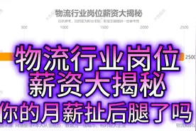物流行业岗位薪资大揭秘视频封面