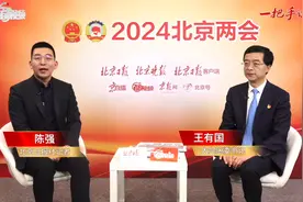 一把手访谈｜大兴机场临空区今年再建一批新地标视频封面