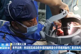 世界首例！西京医院成功将多基因编辑猪全肝移植到脑死亡患者体内视频封面