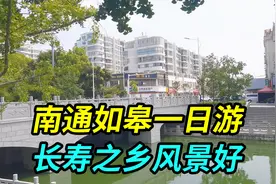 上海人南通如皋一日游，这里是长寿之乡风景好，早茶不输扬州泰州视频封面