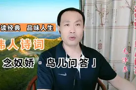 土豆烧熟了，再加牛肉，不须放屁，伟人诗词之《念奴娇鸟儿问答》视频封面