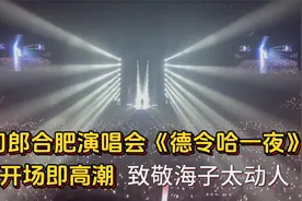 刀郎合肥演唱会《德令哈一夜》，开场即高潮，致敬海子太动人视频封面