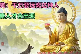 生肖狗：千万要远离这种人，你的贵人才会出现视频封面