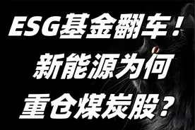 ESG基金崩盘，绿马甲下穿秋裤？