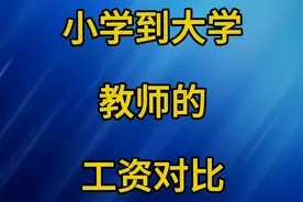 小学到大学教师的工资对比 没有对比就没有伤害