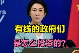 有钱的政府们，是怎么投资的？🌹视频封面