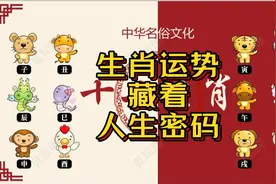 老祖宗留下的生肖运势，属相文化，藏着多少人生密码你知道吗？视频封面