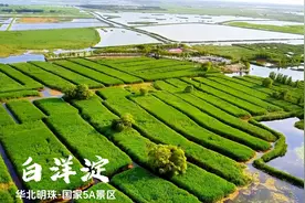 白洋淀民宿望月岛王家寨10号院,王家寨10号农家院-民宿汇视频封面