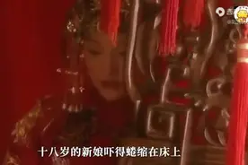【猫视频】半小时一口气看完《橘子红了》！年轻的周视频封面