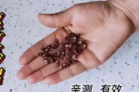 夏天蚊子多，邻居教我一招，只需一把花椒，家中蚊子全部消灭掉