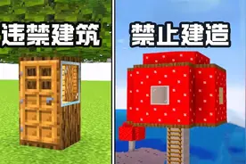 我的世界 : 37个离谱又实用的房屋建造技巧视频封面