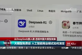 从DeepSeek接入潮 透视中国大模型发展视频封面