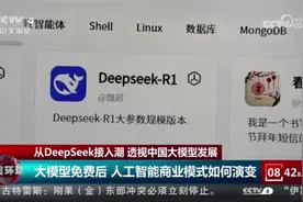 从DeepSeek接入潮 透视中国大模型发展视频封面