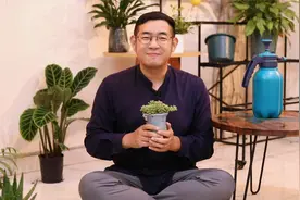 多肉怎么养？园艺师教你，多肉的详细养护技巧视频封面