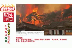 外网热议：韩国千年古刹被烧毁，评论区却是一片的调侃视频封面