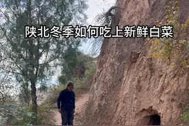 我自风情万种，与世无争，喧闹任其喧闹，自由我自为之 #陕北  #蔬菜地窖储存  #农村生活  #原生态生活 视频封面