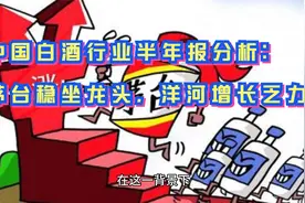 中国白酒行业半年报分析：茅台稳坐龙头，洋河增长乏力视频封面