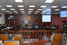 证人证言的采信与排除视频封面