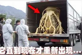 这个奇怪的生物已经被关了很多年了，直到现在才重新出现!视频封面