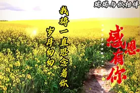岁月匆匆，我将一直思念着你视频封面