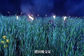一口气看完天下粮仓（完结）视频封面
