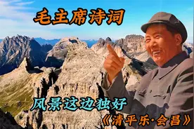 为何推荐孩子多读伟人诗词？从消极中看出积极，从绝望中看出希望视频封面