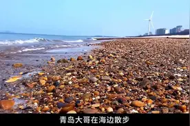 青岛大哥捡到熊猫奇石，有人出价百万不卖，专家估价后：幸亏没卖视频封面