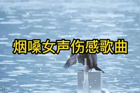 让人心碎的十首触及灵魂的烟嗓女声伤感歌曲，大家一起欣赏吧