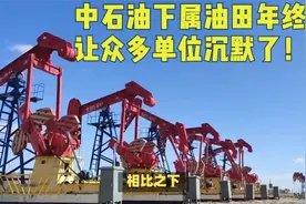 中石油下属油田年终奖风云，让众多单位沉默了！对比都是泪！视频封面