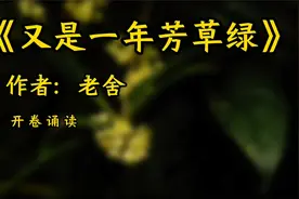 经典文章诵读，《又是一年芳草绿》，作者：老舍视频封面