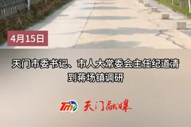 纪道清到蒋场镇调研视频封面