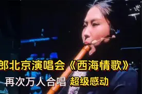刀郎北京演唱会《西海情歌》，再次万人合唱，超级感动视频封面