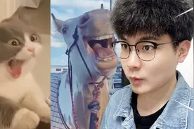 300万粉丝搞笑UP主的灵感来源，竟是...【读评论】