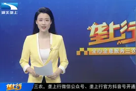 身价翻百倍 一粒米“链”出稻香大产业视频封面