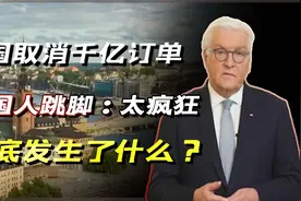 我国取消千亿订单，德国人直呼太疯狂，到底发生了什么？视频封面